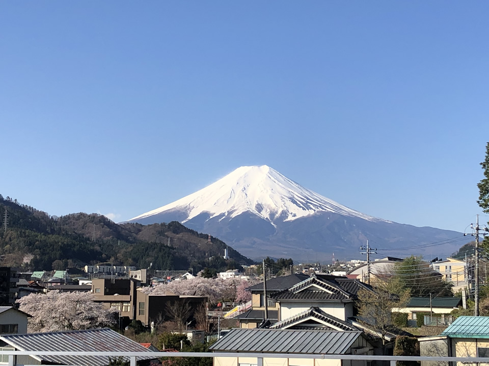 富士山と桜